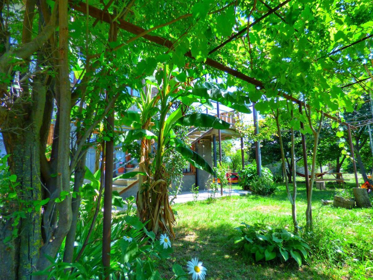 Veli Guest House • Საოჯახო Სასტუმრო Ველი Zemo Alvani Exterior foto